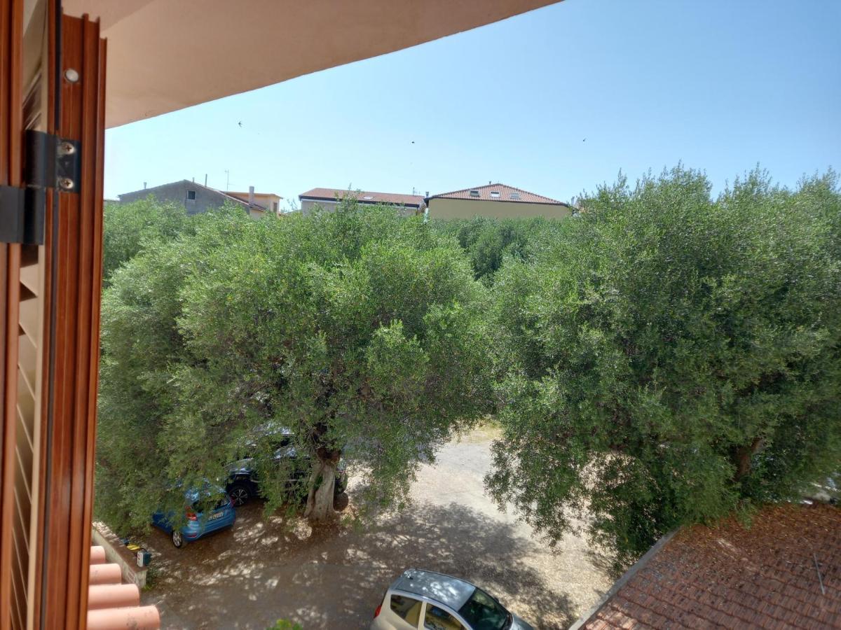 Cialoma Full Green Marina di Camerota Exterior photo
